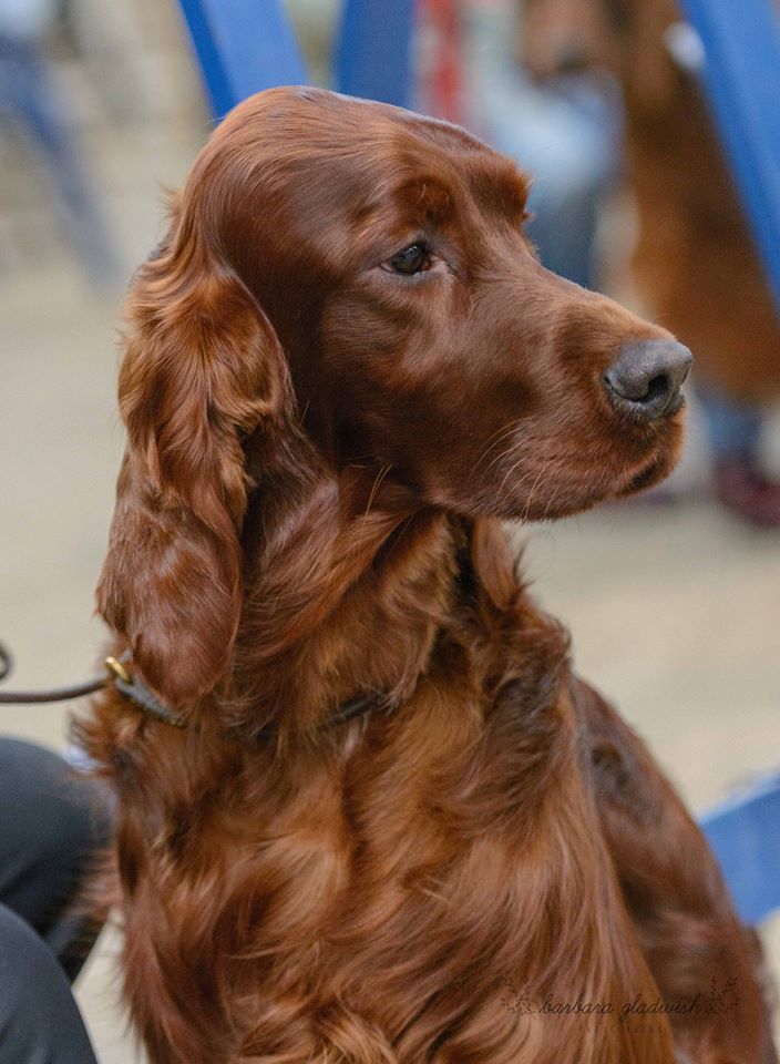 2018 Sam Hoofd Bredersclub