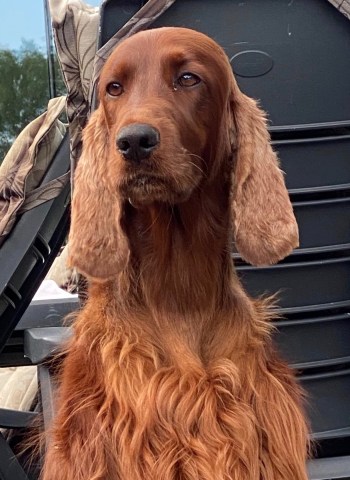 QT 2.aug.2021 kopie (1)