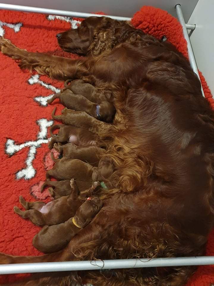 received_408424007449379