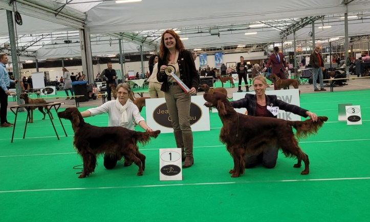 WhatsApp Image 2021-11-08 at 09.21.30