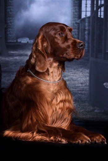 1. Nuran. 284571214503836828._szw1280h1280_