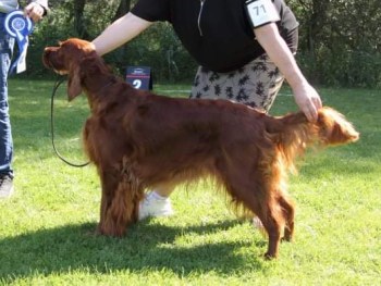 received_249957817210393