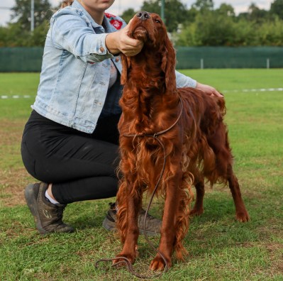 Zenna van de Grasbroekerhof (6)