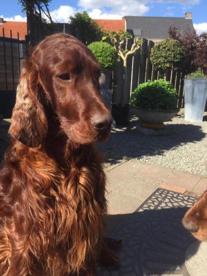 270149942_444900917167322_5389207612989479652_n