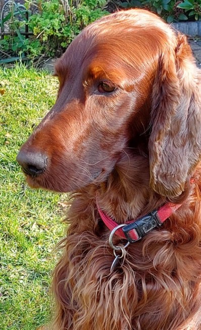 thumbnail_20220310_102409